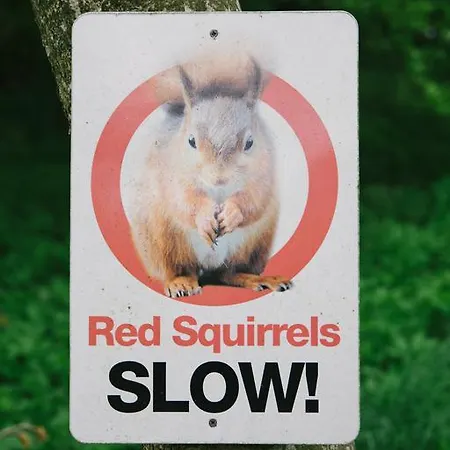 Brownber Hall カントリーハウス